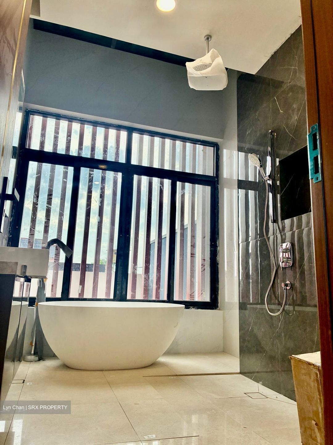 Changi Grove (D17), Semi-Detached #569287961